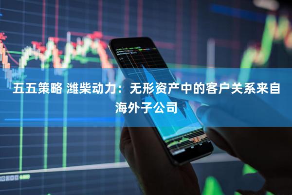五五策略 潍柴动力：无形资产中的客户关系来自海外子公司