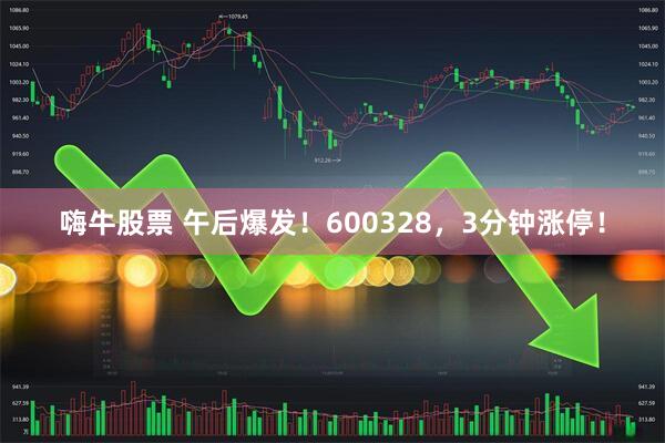 嗨牛股票 午后爆发！600328，3分钟涨停！